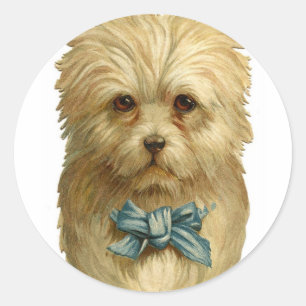 Vintage Aufkleber für Weißhunde