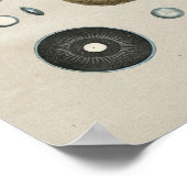 Vintage Augenanatomie Poster (Ecke)