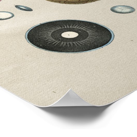 Vintage Augenanatomie Poster (Ecke)