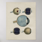 Vintage Augenanatomie Poster (Vorne)
