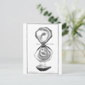 Vintage Austernausdruck Postkarte (Stehend Vorderseite)