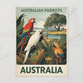 Vintage Australia Parrots Wildlife Postkarte