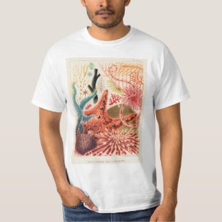Vintage australische Fische im Great Barrier Reef T-Shirt