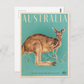 Vintage australische Kangaroo Travel Postcard Postkarte (Vorne/Hinten)