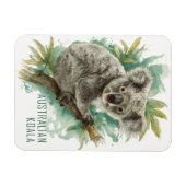 Vintage australische Koala Travel Magnet (Horizontal)