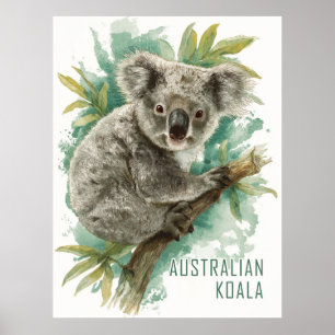 Vintage australische Koala Travel Poster