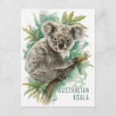 Vintage australische Koala Travel Postkarte (Vorderseite)