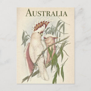 Vintage australische Postkarte