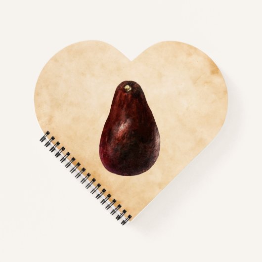 Vintage Avocado-Illustration Notizblock (Vorderseite)