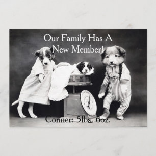 Vintage B&W Hunde Neue Welpen Ankündigung