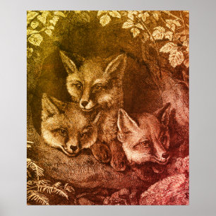 Vintage-Baby-Fuchs-Waldland-kluge Füchse-Vintage-B Poster
