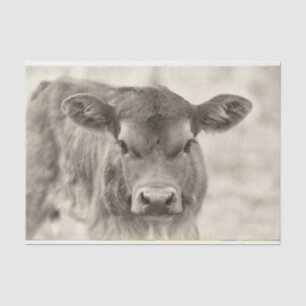 Vintage-Babykuh-Kalbstier-Tissue-Papier Seidenpapier