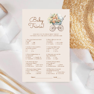 Vintage-Babywagen-Baby-Shower-Quizspiel