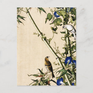 Vintage Bambus und blaue Trichterwinden-Kunst Postkarte