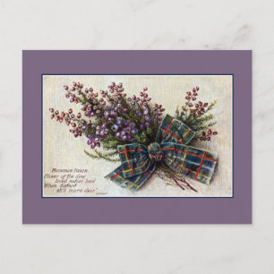 Vintage-Band des schottischen Clans Mountain Heath Postkarte