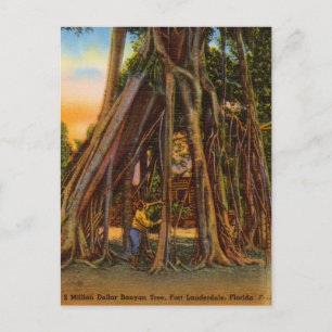 Vintage Banyan-Baum, Fort Lauderdale, Florida Postkarte