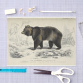 Vintage-Bär-Ephemera-Decoupage französische Schrif Seidenpapier (Handwerk)