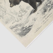 Vintage-Bär-Ephemera-Decoupage französische Schrif Seidenpapier (Ausschnitt)