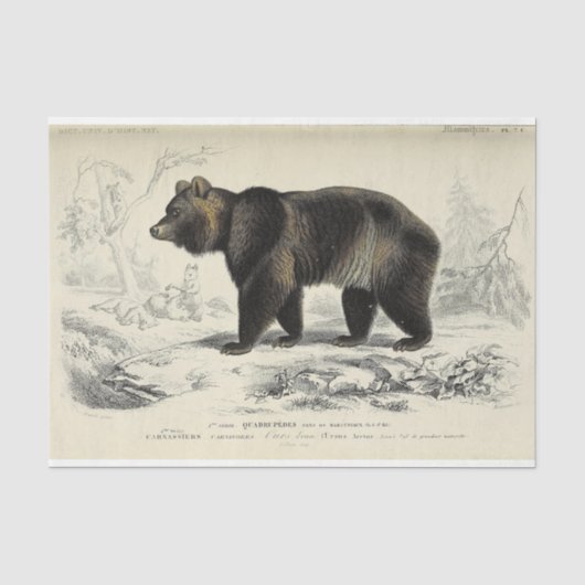 Vintage-Bär-Ephemera-Decoupage französische Schrif Seidenpapier (Vorderseite)