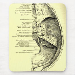 Vintage Basis der Anatomie-| der inneren Mousepad