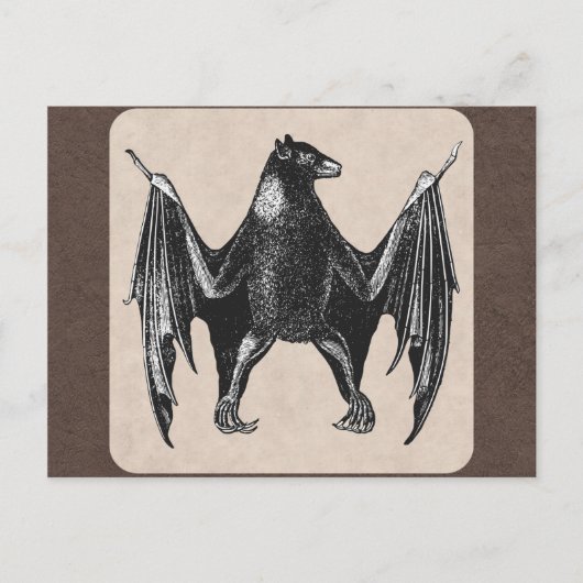 Vintage Bassdrucke Postkarte (Vorderseite)