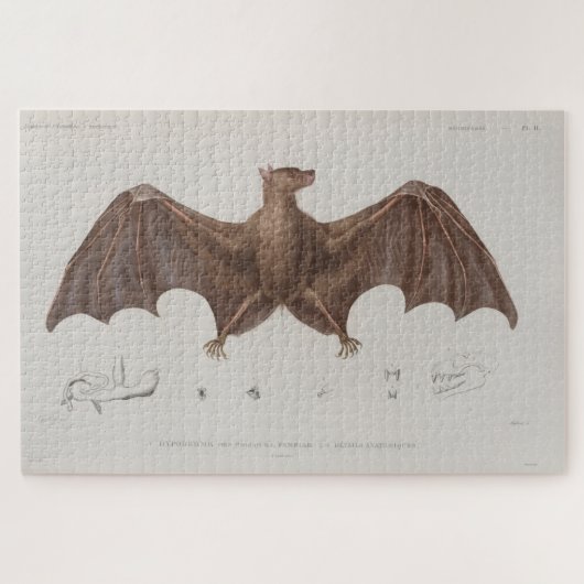 Vintage Bat-Illustration (1835) Puzzle (Horizontal)