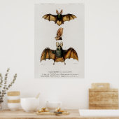 Vintage Bat-Illustration Poster (Küche)