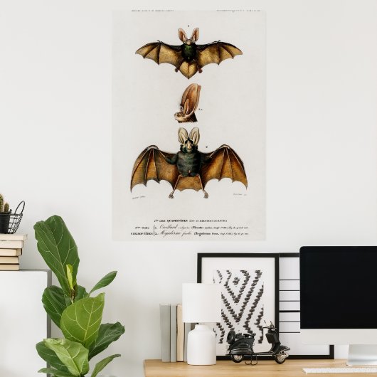 Vintage Bat-Illustration Poster (Heimbüro)