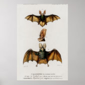 Vintage Bat-Illustration Poster (Vorne)