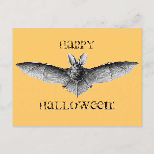 Vintage Bat-Illustration Postkarte (Vorderseite)