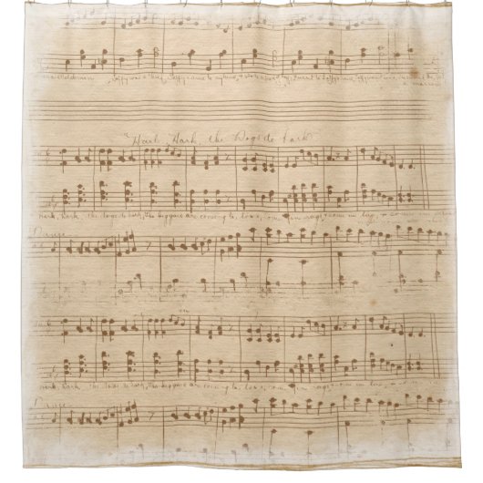 Vintage beige Musiknoten Duschvorhang (Vorderseite)