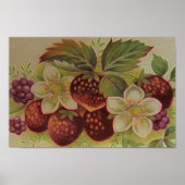 Vintage Berries Poster (Vorne)