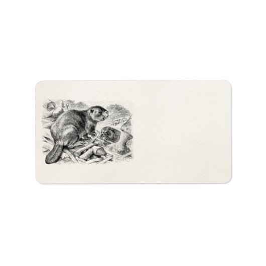 Vintage Biber-Illustration Retro-Biber und Damm Adressaufkleber (Vorne)