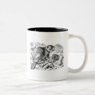 Vintage-Biber-Illustration Retro-Biber und Damm Zweifarbige Tasse
