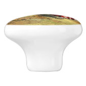 Vintage Biene Viktorianischer Honigwald Keramikknauf (Seitenansicht)