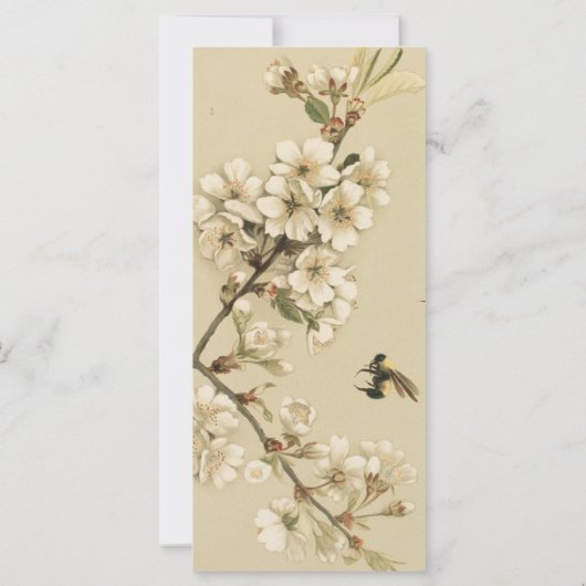 Vintage Bienen (Rückseite)