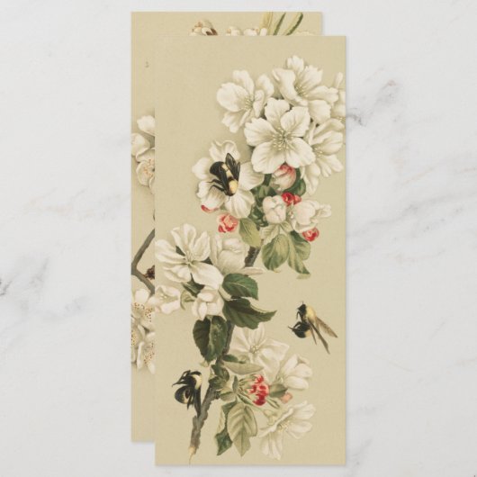 Vintage Bienen (Vorne/Hinten)