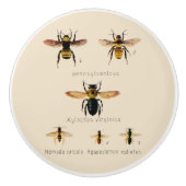 Vintage Bienen 6 Keramikknauf (Vorderseite)