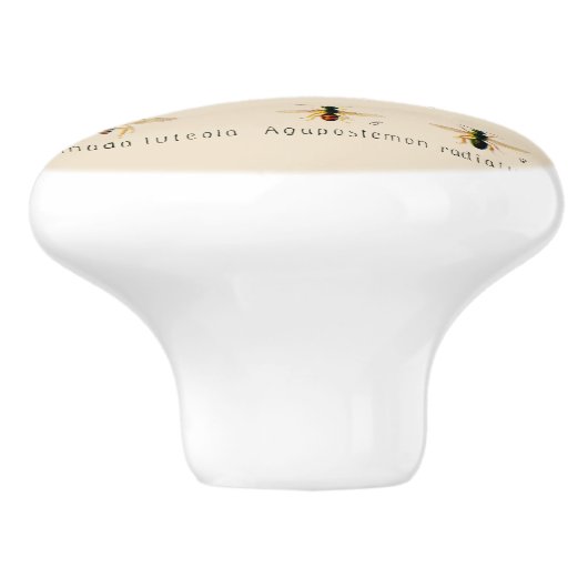 Vintage Bienen 6 Keramikknauf (Seitenansicht)