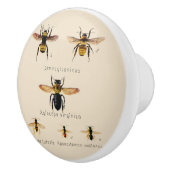 Vintage Bienen 6 Keramikknauf (Rechts)