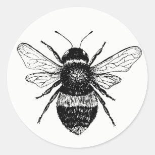 Vintage Bienen-Aufkleber-Sammlung Runder Aufkleber