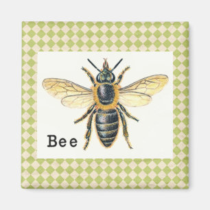 Vintage-Bienen-Fibel Magnet
