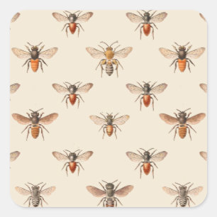 Vintage-Bienen-Illustrationsmuster Quadratischer Aufkleber