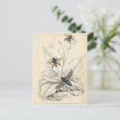 Vintage Bienen Postkarte (Stehend Vorderseite)