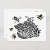 Vintage Bienen Postkarte (Vorne/Hinten)