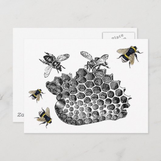 Vintage Bienen Postkarte (Vorne/Hinten)