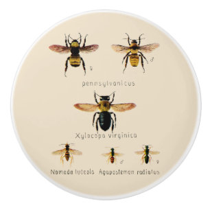 Vintage Bienen Sechs Keramikknauf