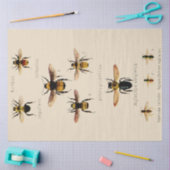 Vintage Bienen Seidenpapier (Basteln)