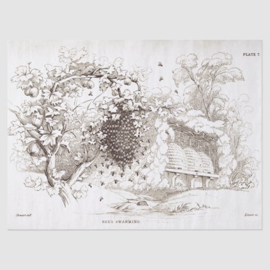 Vintage Bienen Seidenpapier (Vorderseite)