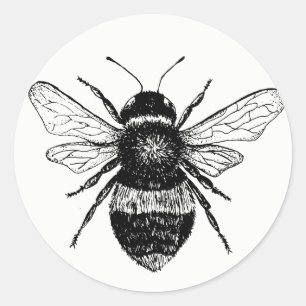 Vintage Bienen-Sticker-Sammlung Runder Aufkleber